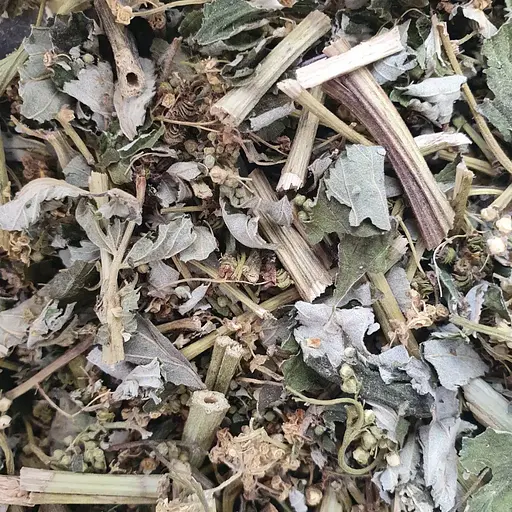 Таволга/гадючник вязолистная трава сушеная - свежий урожай 100 г