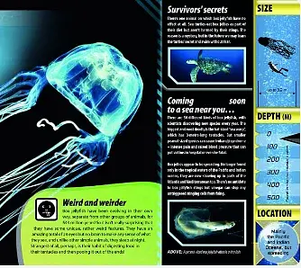 iExplore. Ocean Monsters - фото 6