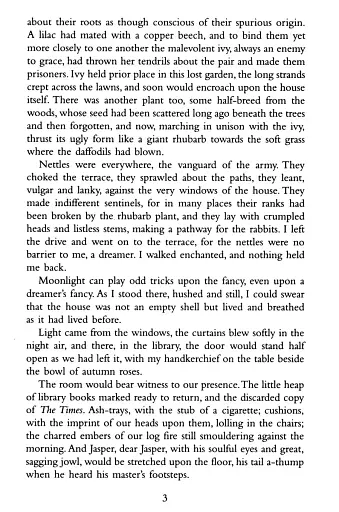 Rebecca - фото 4