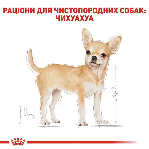Влажный корм Royal Canin Chihuahua Adult для собак породы Чихуахуа 1,02 кг (12 шт. х 85 г) - фото 4