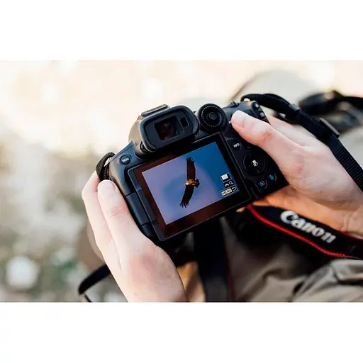 Бездзеркальний фотоапарат Canon EOS R7 Kit RF-S 18-150mm IS STM (5137C040) UA [117132] - фото 15