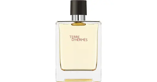 Туалетна вода мужская  Terre D'Hermes, 100 ml