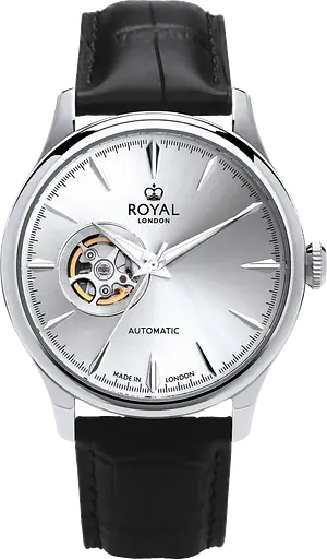 Часы ROYAL LONDON 41529-01