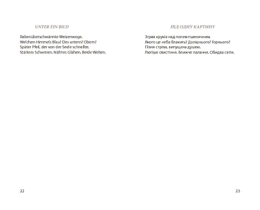 Мовні ґрати - фото 13