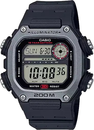 Часы Casio Timeless Collection DW-291H-1AVEF