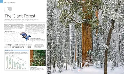 Natural Wonders of the World - фото 2