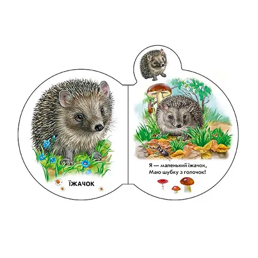 Картонна книжечка для найменших Малята : У лісі 411017 аудіо-бонус - фото 4