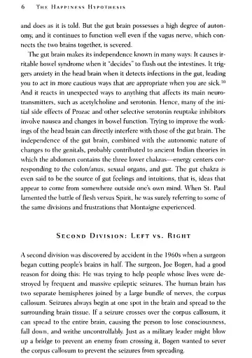 The Happiness Hypothesis: Ten Ways to Find Happiness and Meaning in Life - фото 7