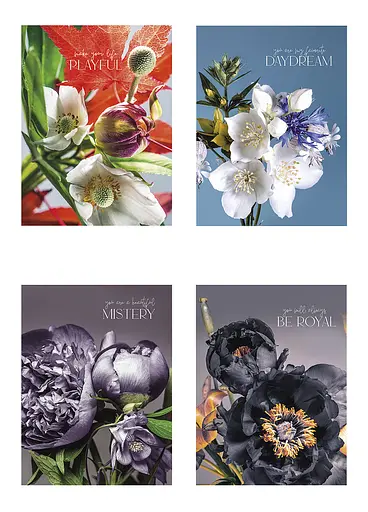 Комплект 4 шт общих тетрадей. Тетрадь Школярик А5 48 л. в линию 5074 4823088219210 - фото 1