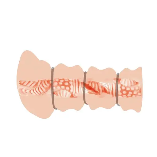 Мастурбатор Crazy Bull Rossi Flesh (телесный) - фото 2