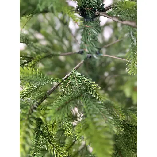 Елка искусственная Hvoya Forest 180 см литая зеленая с салатовыми кончиками - фото 5