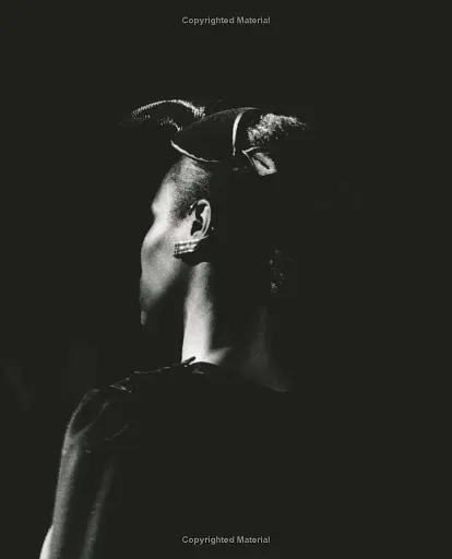 Schullin: Tradition Reinvented - фото 3