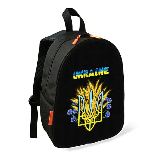 Рюкзак детский Тризуб Украина школьный/городской 34х27х13 см для мальчика (02644)