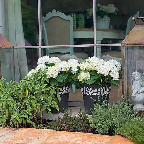 Вазон пластиковый OPERA CLOE, круглый, с автополивом, 25 см, 7,5 л (94125) - фото 4