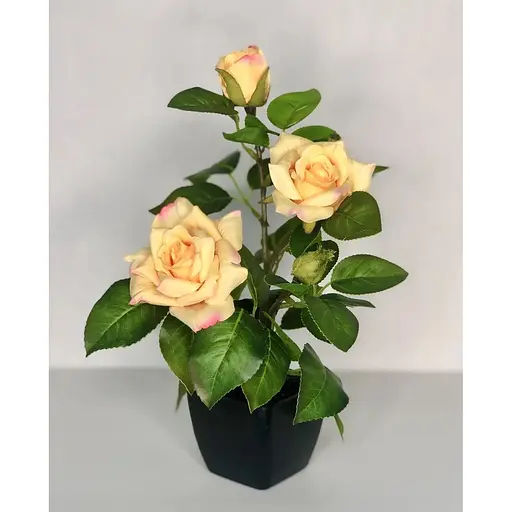 Троянда чайна штучна Hvoya кущ в горщику 29 см