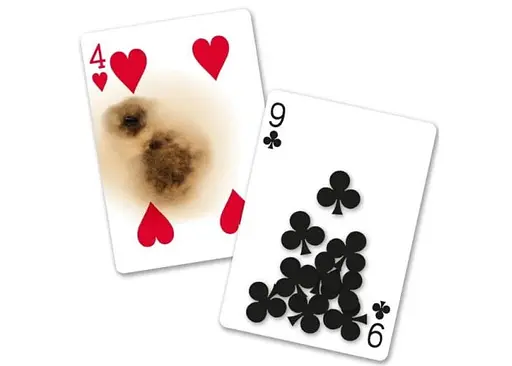 Карти гральні United States Playing Card Company Bicycle Super Gaff (ВР_КИБСГ) - фото 4