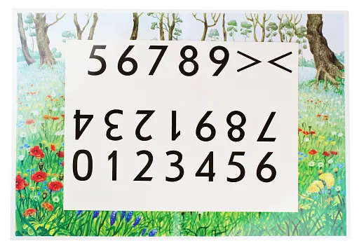 Весела лічба. Галявинка - фото 4