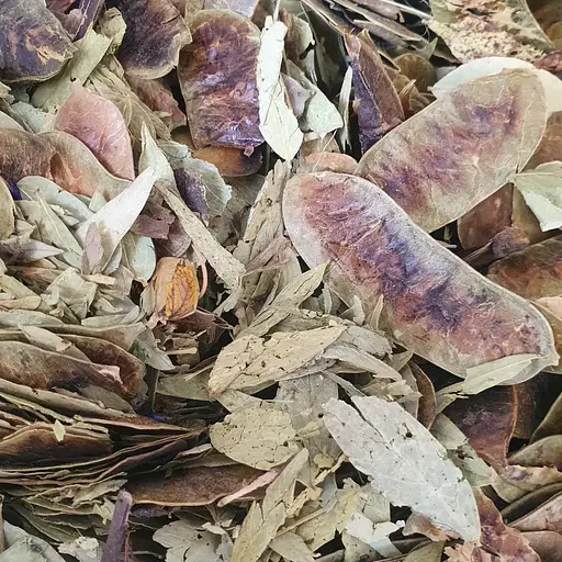 100 г сенна/кассія лист сушений - свіжий урожай