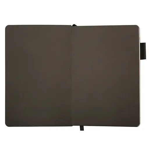 Дневник-деловая записная книжка А5 Leo Planner 2026 Binario графит 368 страниц (252640) - фото 2
