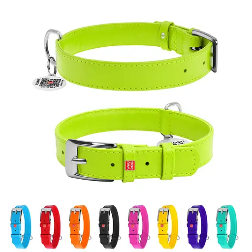 Нашийник для собак шкіряний Waudog Glamour з QR-паспортом без прикрас M Ш 20 мм Д 30-39 см салатовий - фото 2