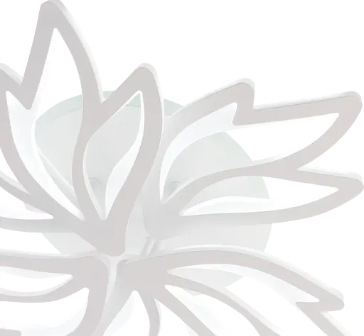 Потолочный светильник LI9862-3+3 - фото 5