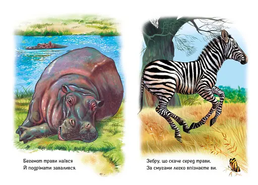Книга Тварини світу. Малятам про звіряток. Автор - Григорій Меламед (Ранок) - фото 3