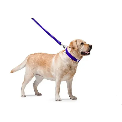 Поводок для собак Waudog Glamour кожаный, фиолетовый - фото 3