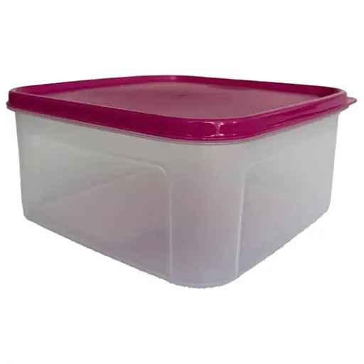 Контейнер пластиковий харчовий Motek з кришкою Modular 2,5 л (MS-04) - фото 1