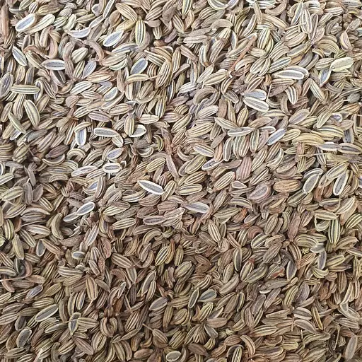 100 г фенхель звичайний плоди сушені - свіжий урожай