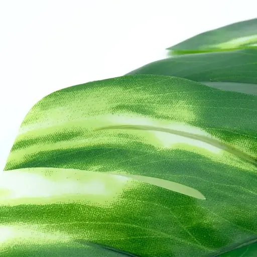 Искусственные листья Engard Monstera Alba 71 см (TW-53) - фото 5