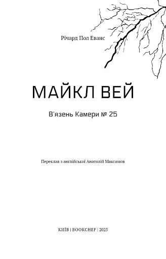 Майкл Вей. В'язень Камери №25. Книга 1 - фото 3