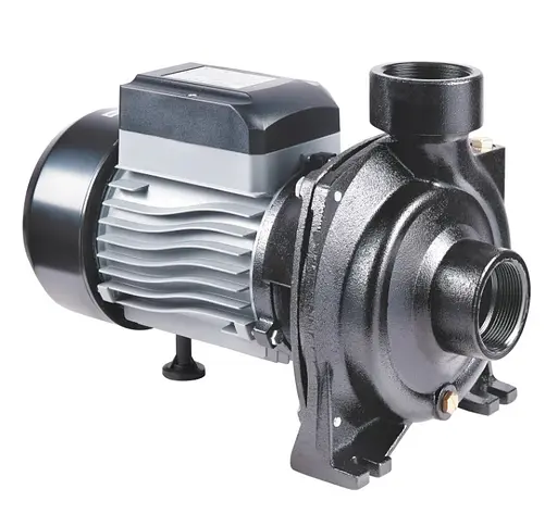 Насос поверхневий відцентровий Thermo Alliance CPm200/2 - фото 1