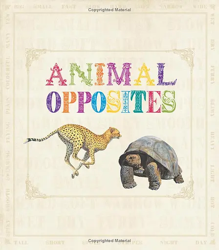 First Concept. Animal Opposites - фото 2