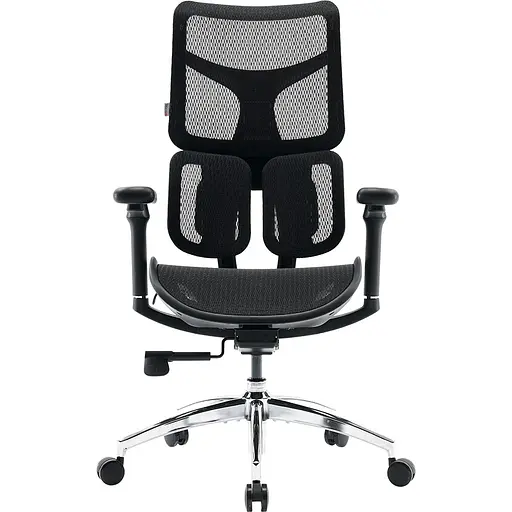 Крісло офісне Sihoo Doro S100 Mesh Black (S100-M301)