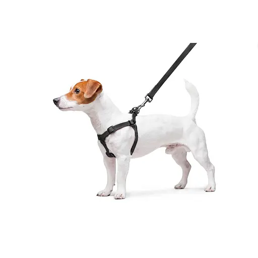 Шлей для собак водостойкий Waudog Waterproof с QR-паспортом металлическая пряжка-фастекс Ш 15 мм Д 40-55 см черный - фото 7