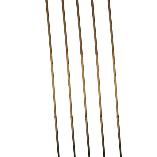 Бамбукові опори для рослин Elsa 60 см (BMB-60) - фото 2