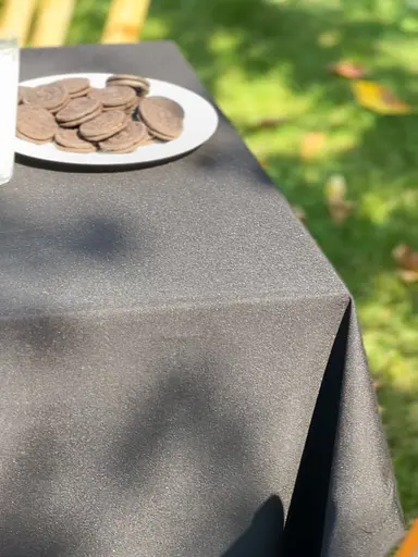 Водоотталкивающая cкатерть Черный однотон 200х120 см (+ 5 салфеток 30х40) - фото 8