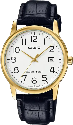 Часы Casio Timeless Collection MTP-V002GL-7B2UDF