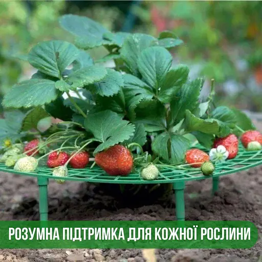 Підставка під полуницю| тримач для кущотримача (комплект 5 шт.) - фото 2