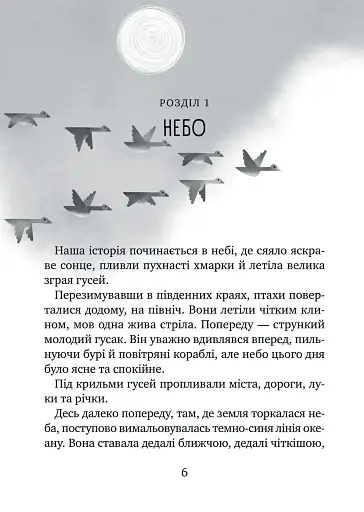 Дикий робот рятує. Книга 3 - Браун Пітер - фото 2