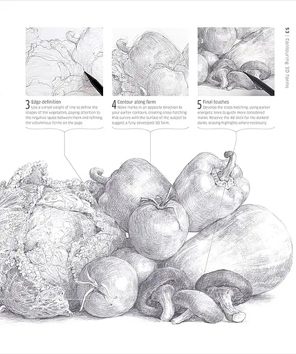 Artist's Drawing Techniques. Discover How to Draw Landscapes, People, Still Lifes and More, in Pencil, Charcoal, Pen and Pastel - фото 5