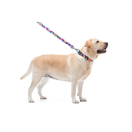 Ошейник для собак нейлоновый Waudog Nylon с QR-паспортом "Витраж" пластиковый фастекс Ш 20 мм Д 28-40 см - фото 6