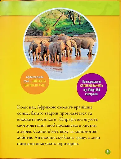 Гррр! 100 цікавих фактів про тварин Африки - фото 5
