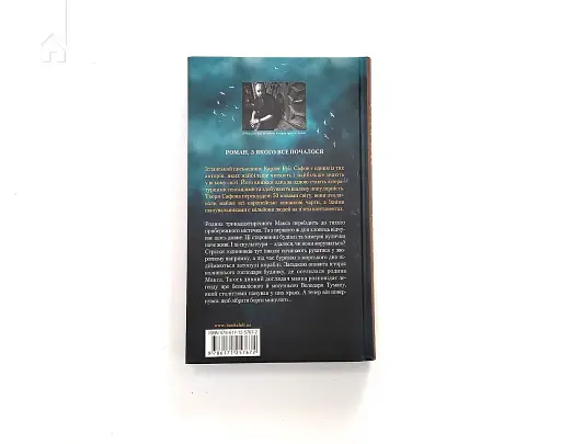 Володар Туману. Книга 1 - фото 4