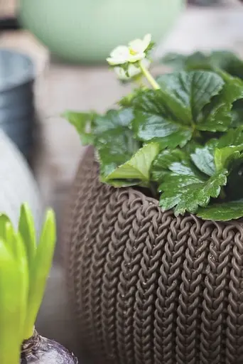 Підвісний горщик з кашпо для квітів Keter Cozies S з ланцюжком коричневий 3.2 л - фото 3