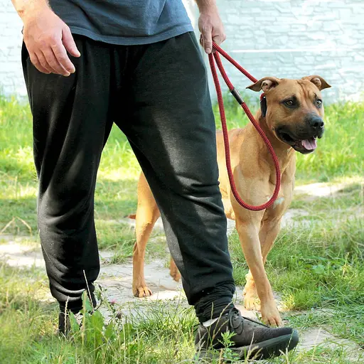 Поводок-удавка для собак Barksi Active (длина 183 см диаметр 12 мм) шахматы черно-красный - фото 7