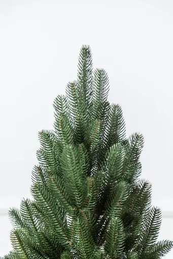 Елка искусственная литая в горшке литая ”Лапландская Зеленая” 1.1 м  - фото 5