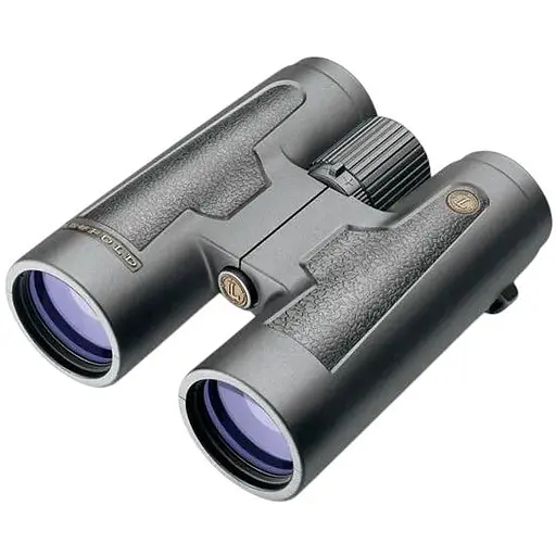 Бинокль Leupold 10x42 BX-2 Acadia Roof Black