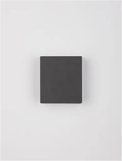 Вуличний Бра NOVA LUCE PARRIS 9492650 - фото 2