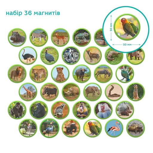 Дитячий магнітний набір Монтесорі "Тварини на континентах: Африка" DoDo Toys 200284, 36 елементів - фото 4